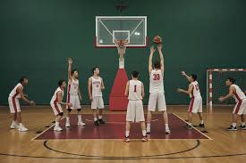 zuyomernon system basketball