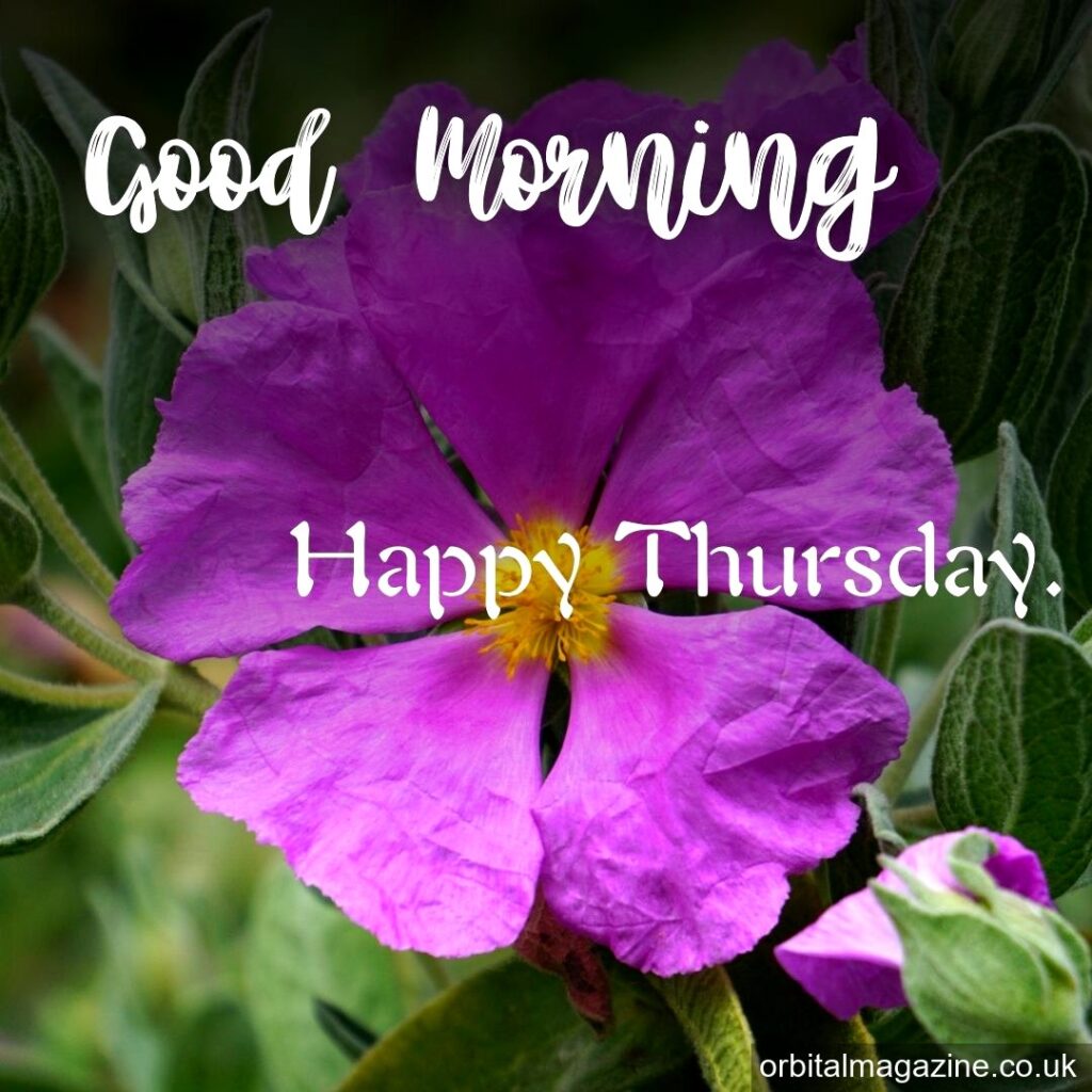 Good Morning Happy Thursday: A Comprehensive Guide to a Bright and Cheerful Day